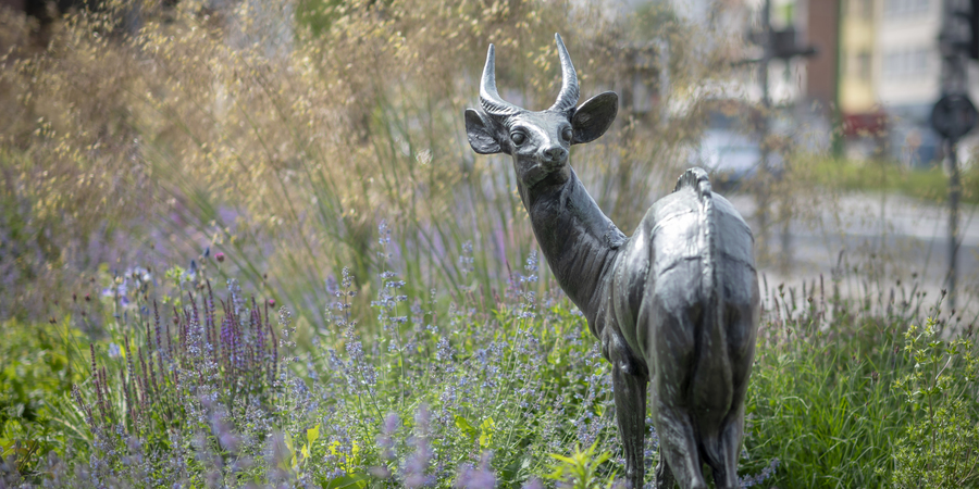 beeld van een antilope op het Frans Jochemsplein